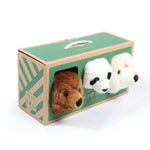 Coffret d'ours