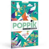 POSTER PÉDAGOGIQUE + 45 STICKERS OISEAUX (6-12 ANS)